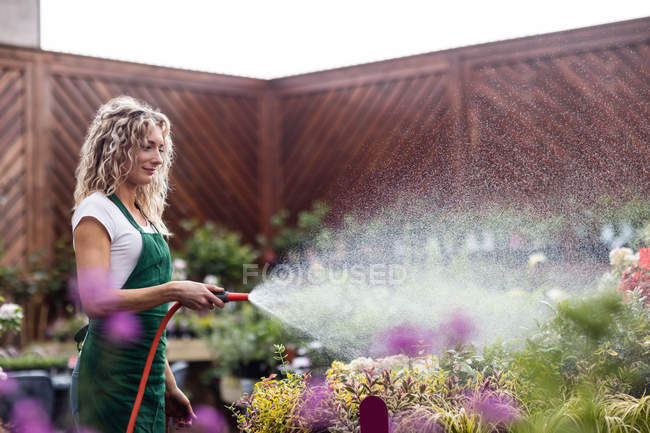 Флорист распыляет воду на растения в садовом центре — стоковое фото