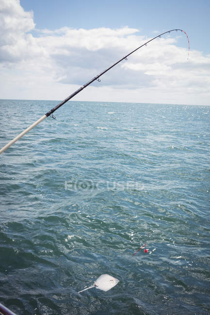 Ray pesce catturato in canna da pesca durante la pesca in mare — Foto stock