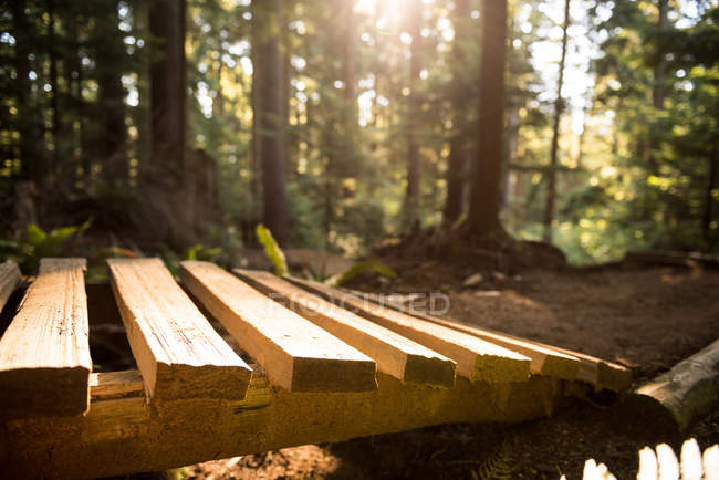 Крупный план деревянной дорожки в солнечном свете в лесу — стоковое фото
