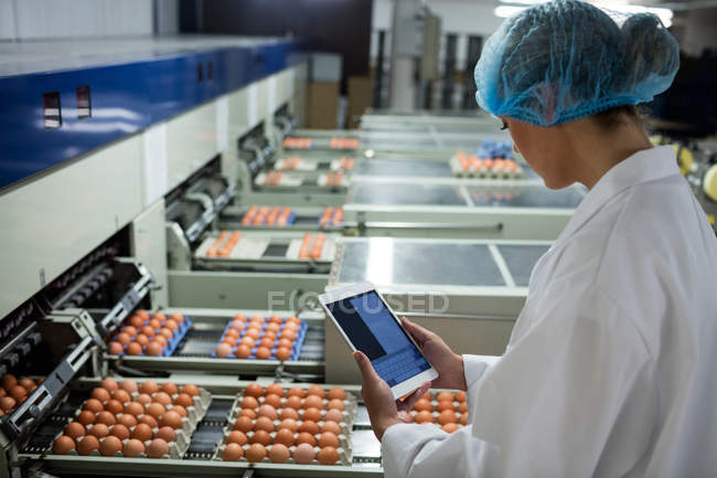 Mitarbeiterinnen nutzen digitales Tablet neben Produktionslinie in Eierfabrik — Stockfoto