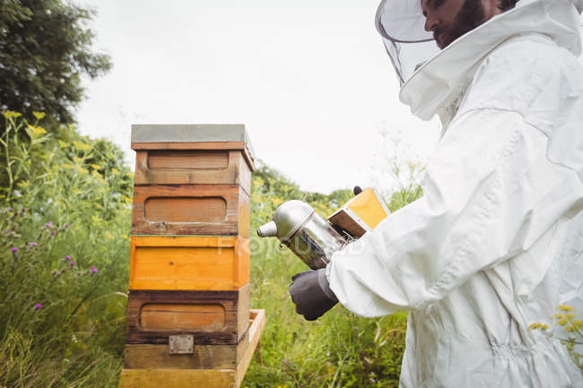 Apicultor con abeja fumadora en el campo - foto de stock