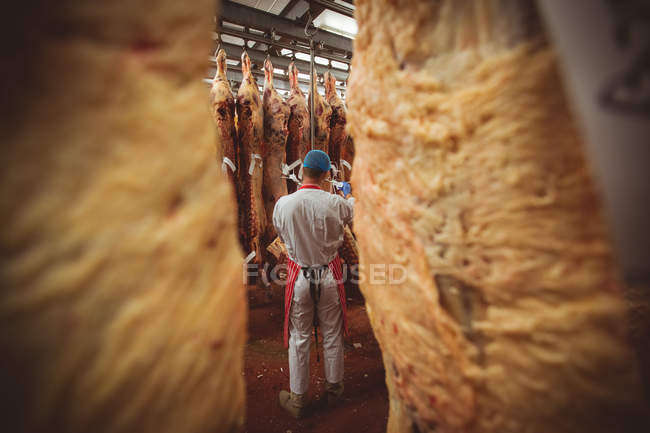 Vista posteriore del macellaio che appende carne rossa nel ripostiglio della macelleria — Foto stock