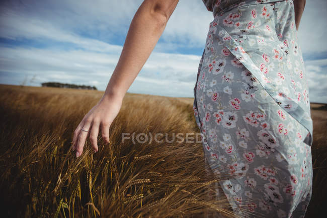 Geschnittenes Bild einer Frau, die an einem sonnigen Tag auf dem Land Weizen in der Hand berührt — Stockfoto