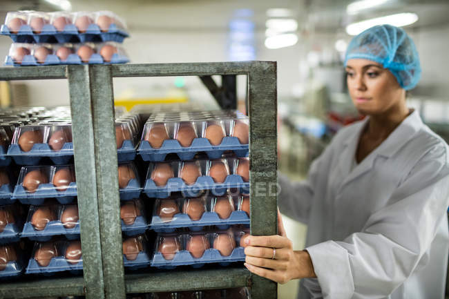Personal femenino examinando huevos marrones en estantería en fábrica de huevos - foto de stock