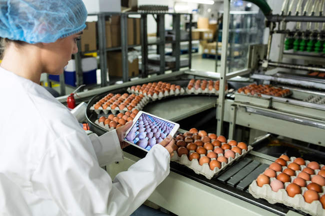 Mitarbeiterinnen heften Bild von Eierkartons auf digitalem Tisch in Fabrik — Stockfoto