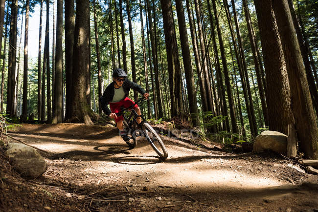 Ciclista masculino pedalando na floresta à luz do sol no caminho — Fotografia de Stock