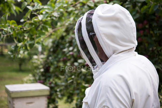Вид сбоку на пчеловода в апиарном саду — стоковое фото