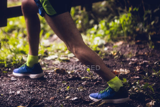 Baixa seção de atleta exercitando na floresta — Fotografia de Stock