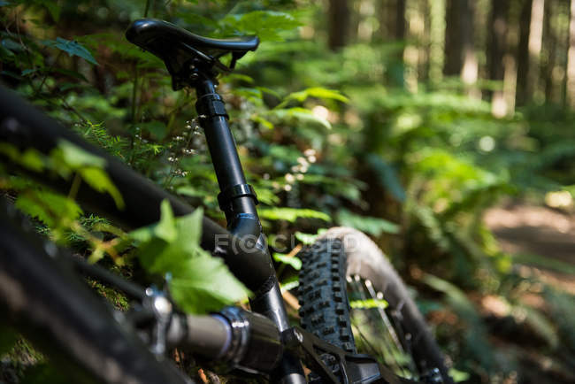 Крупный план велосипеда в лесу при солнечном свете — стоковое фото