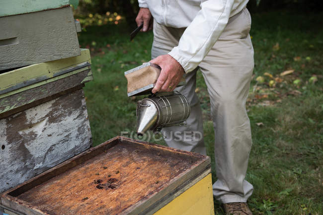 Apicultor trabalhando com fumante em jardim apiário — Fotografia de Stock