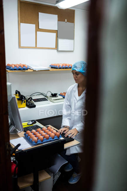 Female staff working at computer in egg factory — Stock Photo