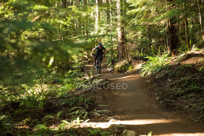 Ciclista di sesso maschile in bicicletta nella foresta in una giornata di sole — Foto stock