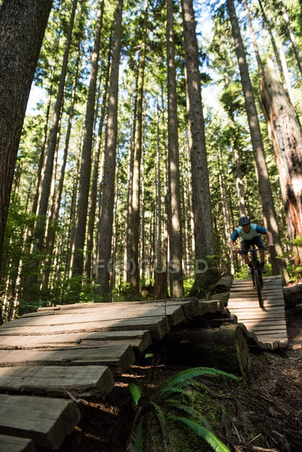 Ciclista di sesso maschile in bicicletta nella foresta alla luce del sole — Foto stock