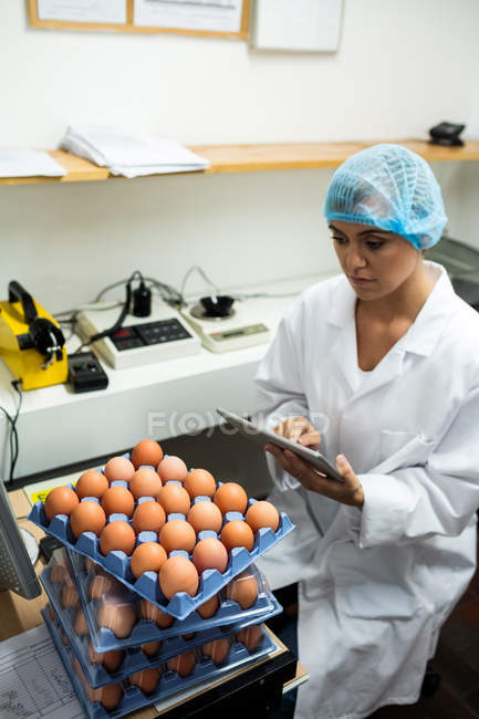 Женщины-сотрудники используют цифровые планшеты во время работы на яйцефабрике — стоковое фото