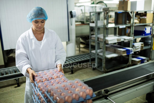 Female staff arranging egg cartons next to production line in egg factory — Stock Photo
