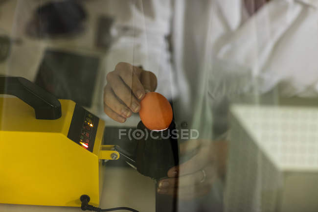 Abgeschnittenes Bild einer Arbeiterin, die Ei auf digitalem Ei-Monitor in der Eierfabrik untersucht — Stockfoto