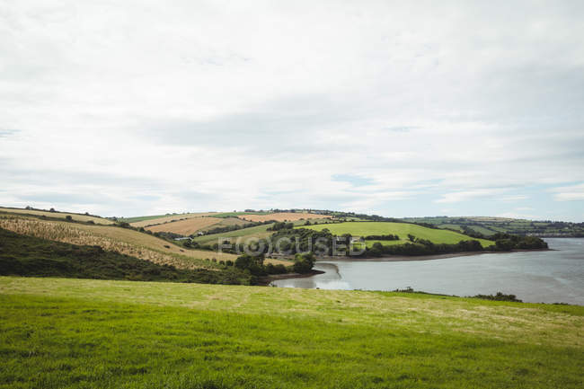 View of sea and field on sunny day — Stock Photo