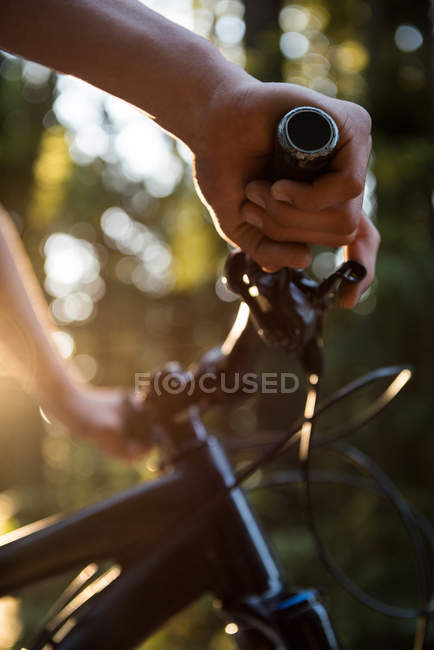Hands of male athlete standing with mountain bike in park in sunlight — Stock Photo