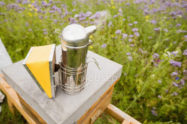 Primer plano del fumador de abejas en la colmena en el campo - foto de stock