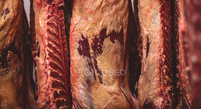 Крупный план очищенного красного мяса, висящего на складе мясной лавки — стоковое фото