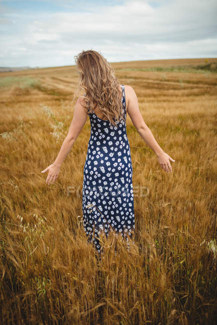 Вид ззаду жінка торкається пшениці в полі — стокове фото
