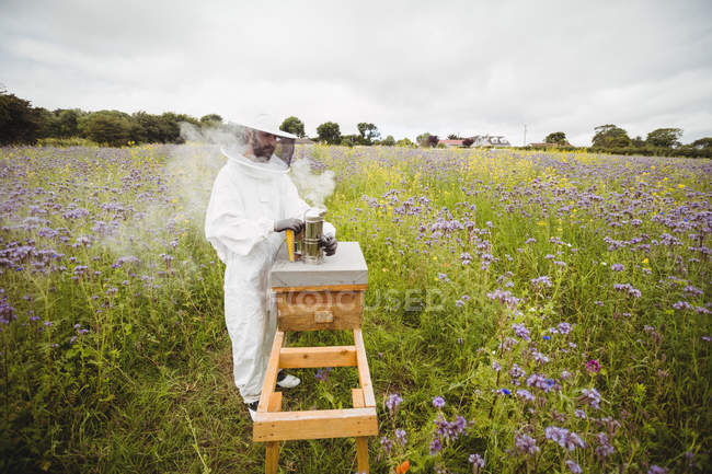 Apicultor con abeja fumadora en el campo - foto de stock