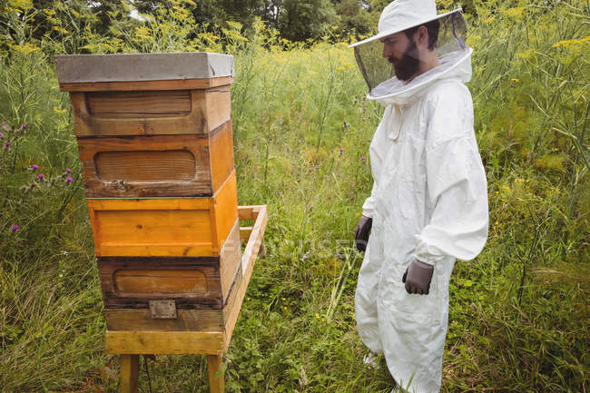 Imker schaut sich Bienenstock auf Feld an — Stockfoto