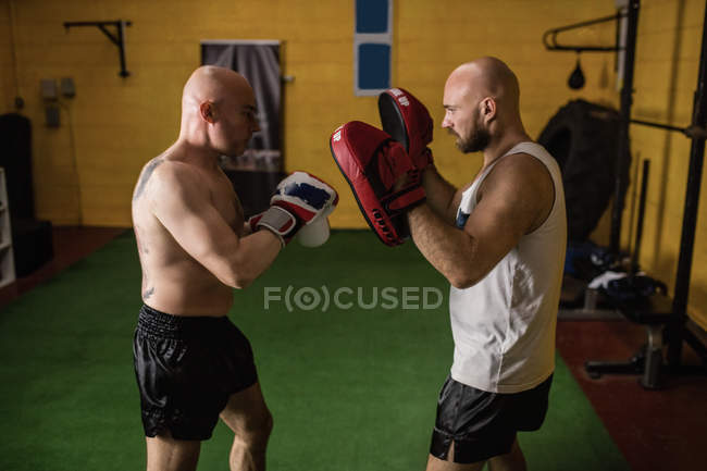 Вид збоку на двох тайських боксерів, що борються в спортзалі — стокове фото
