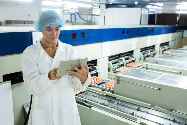 Personnel féminin utilisant une tablette numérique à côté de la ligne de production dans l'usine d'œufs — Photo de stock