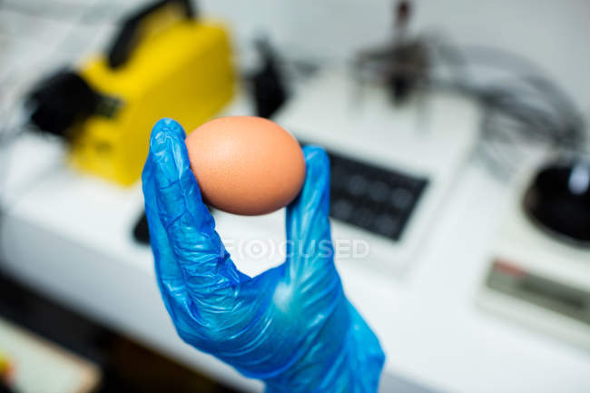 Abgeschnittenes Bild von Mitarbeitern, die Eier in Fabrik untersuchen — Stockfoto