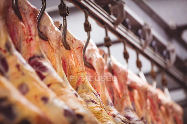 Close-up de carne vermelha descascada pendurada na sala de armazenamento no talho — Fotografia de Stock