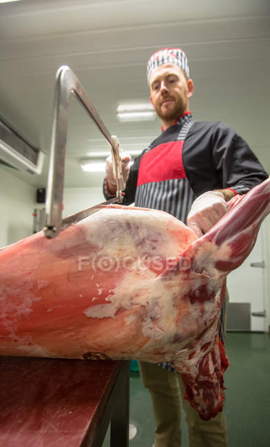 Butcher cutting pork carcass with a saw in butchers shop — Stock Photo
