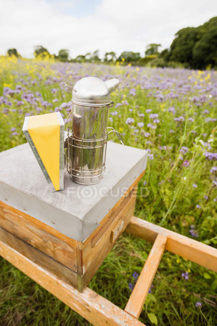 Primer plano del fumador de abejas en la colmena en el campo - foto de stock