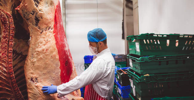 Macellaio che esamina la carne rossa appesa nel magazzino della macelleria — Foto stock
