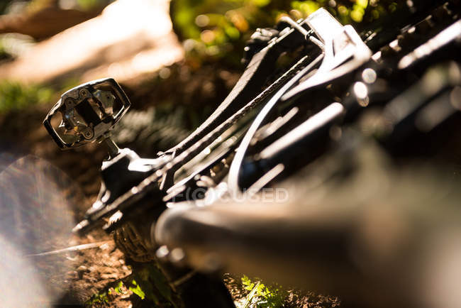 Primer plano del detalle de la bicicleta en el bosque a la luz del sol - foto de stock