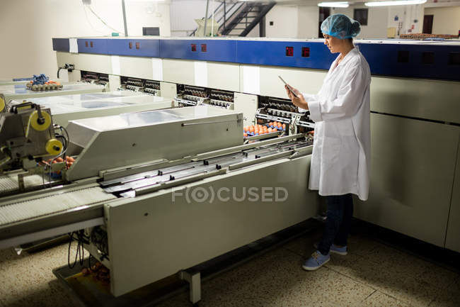 Mitarbeiterinnen nutzen digitales Tablet neben Produktionslinie in Eierfabrik — Stockfoto