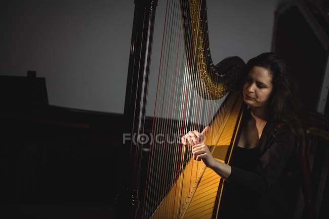 Attentive woman playing a harp in music school — Stock Photo