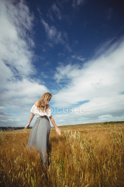 Вид ззаду жінка торкається пшениці в полі — стокове фото