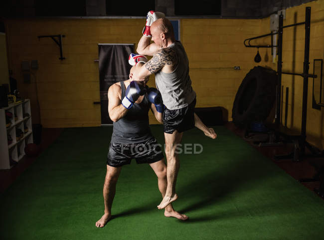 Вид збоку на двох тайських боксерів, що борються в спортзалі — стокове фото