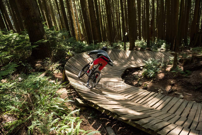 Male cyclist cycling on wooden path in forest in sunlight — Stock Photo
