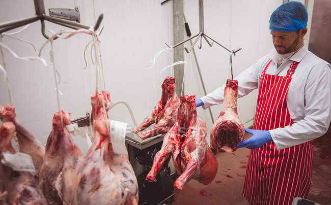 Butcher hanging red meat in storage room at butchers shop — Stock Photo
