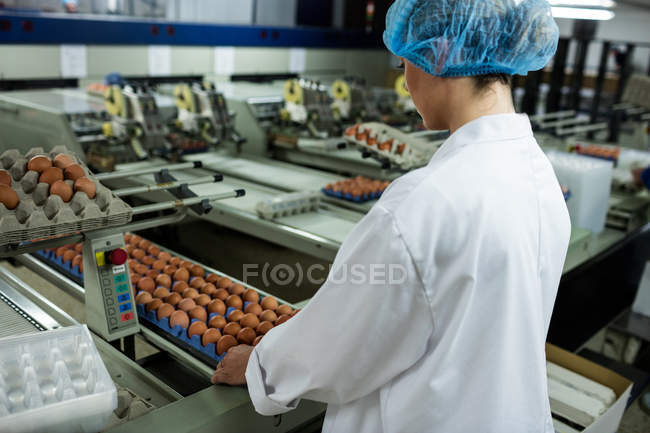 Personnel féminin attentif travaillant dans l'usine — Photo de stock