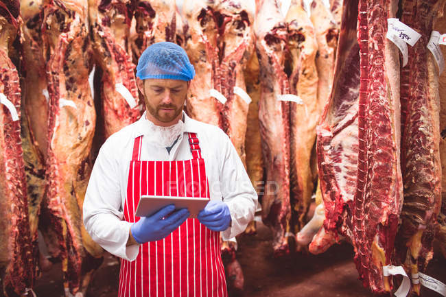 Carnicero usando tableta digital en sala de almacenamiento de carne en carnicería - foto de stock