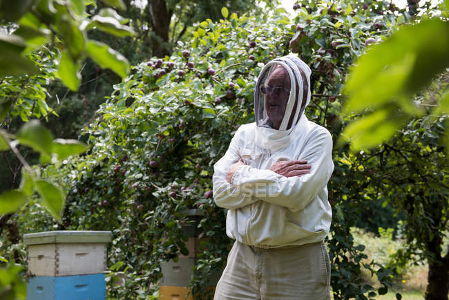 Бджоляр стоїть з обіймами, схрещеними у пасічному саду — стокове фото
