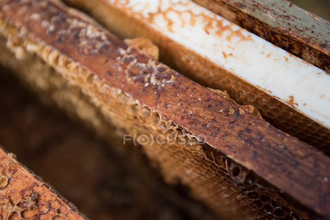 Close-up de favo de mel natural em uma caixa de madeira — Fotografia de Stock