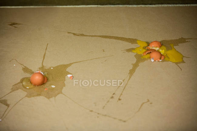 Two broken eggs on floor in egg factory — Stock Photo