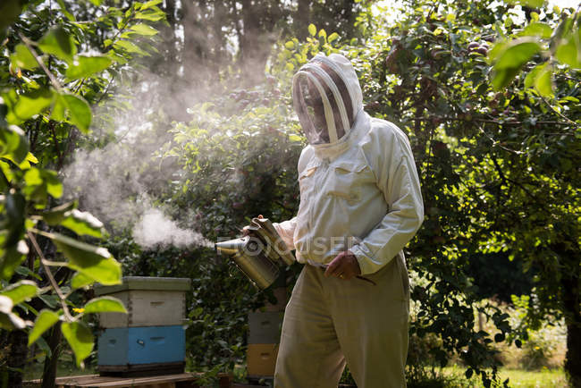 Apicultor trabalhando com fumante em jardim apiário — Fotografia de Stock