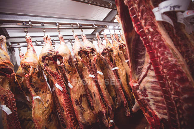 Carne rossa pelata appesa nel ripostiglio della macelleria — Foto stock