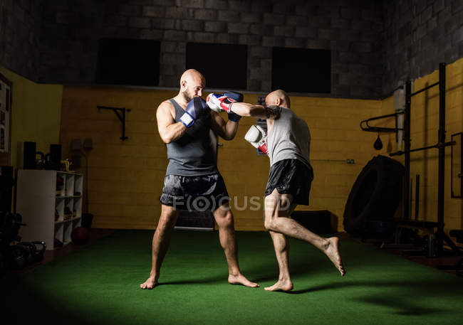 Longitud completa de dos boxeadores tailandeses que practican en el gimnasio - foto de stock