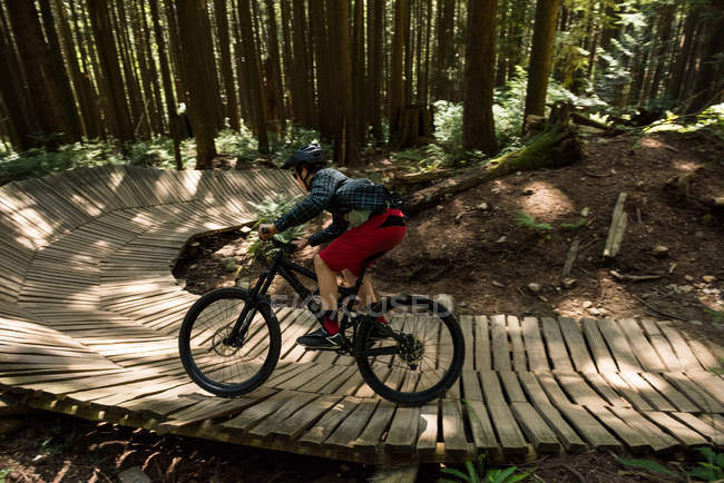 Ciclista masculino pedalando na floresta à luz do sol, vista lateral — Fotografia de Stock